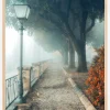 Fogy autumn day Poster (21x29.7 cm (A4))