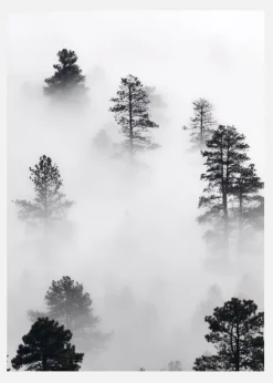 Fogy Forest Canvastavla (30x40 cm)