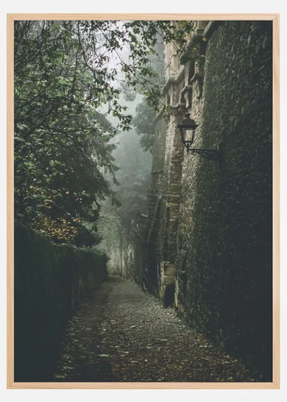 Fogy street Poster (21x29.7 cm (A4))