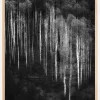 Forest Art Poster (21x29.7 cm (A4))