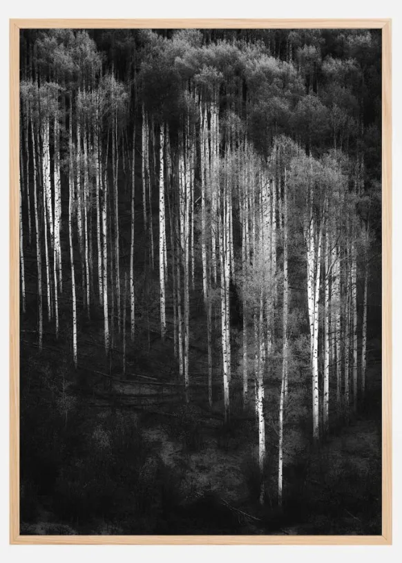 Forest Art Poster (21x29.7 cm (A4))
