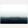 Forests In Fog Canvastavla (30x40 cm)