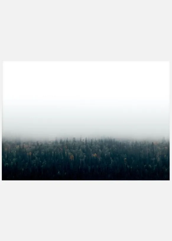 Forests In Fog Canvastavla (30x40 cm)