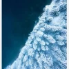 Frosty Forest Canvastavla (30x40 cm)