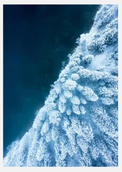 Frosty Forest Canvastavla (30x40 cm)