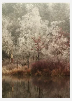 Frozen Canvastavla (30x40 cm)