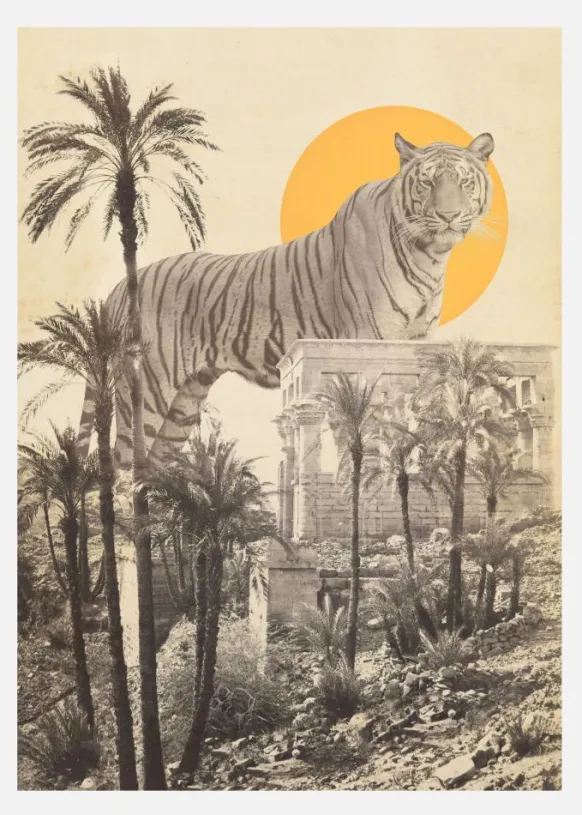 Giant Tiger In Ruins Canvastavla (30x40 cm)