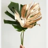 Golden Monstera Canvastavla (30x40 cm)