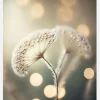 Golden Pearls Canvastavla (30x40 cm)