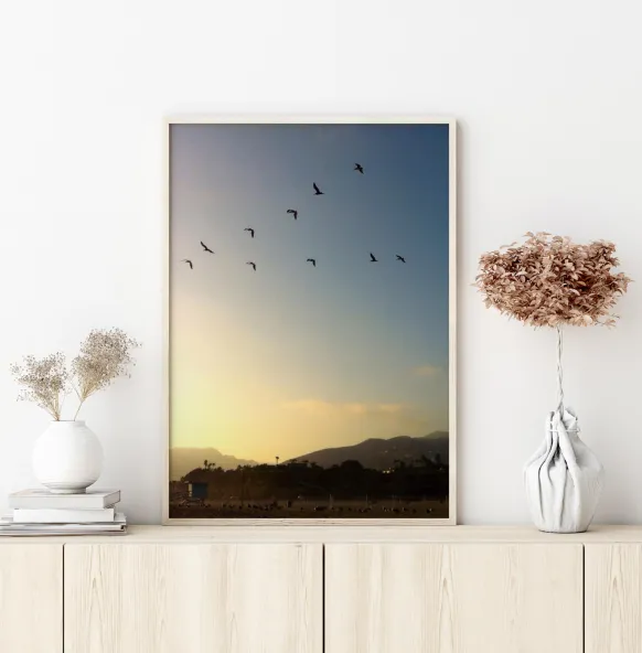 Goodbye Birds Poster (21x29.7 cm (A4))