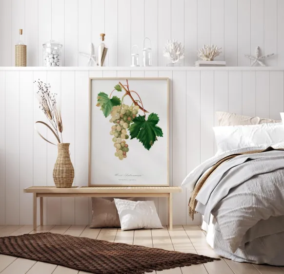 Grapes I Poster (21x29.7 cm (A4))