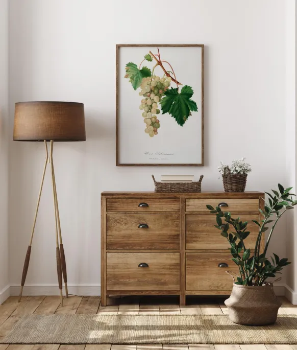 Grapes I Poster (21x29.7 cm (A4))