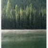 Green Forest Canvastavla (30x40 cm)