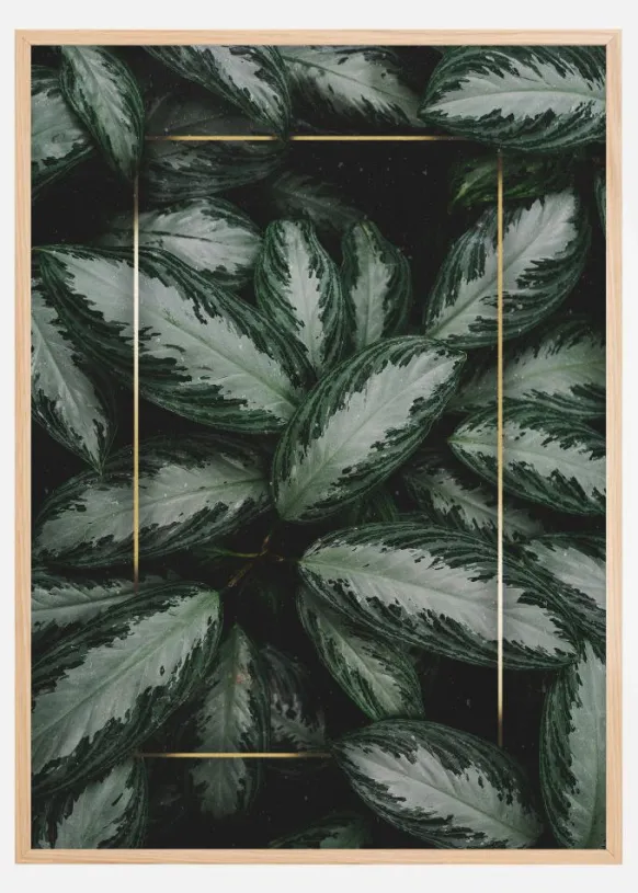 Green Leaves Poster (21x29.7 cm (A4))