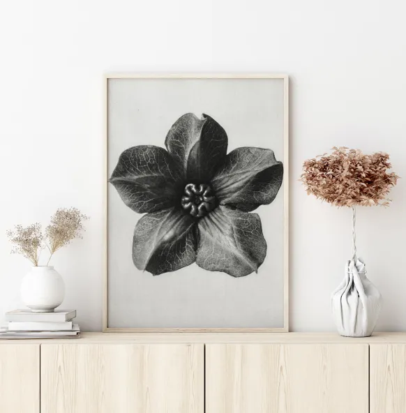 Grey Flower III Poster (21x29.7 cm (A4))