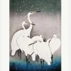 Group Of Egrets Canvastavla (30x40 cm)