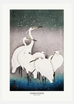 Group Of Egrets Canvastavla (30x40 cm)