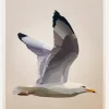 Gull Canvastavla (30x40 cm)