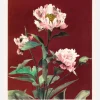 Habrdaceous Peony No2 Canvastavla (30x40 cm)