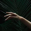 Handing a leaf Poster (21x29.7 cm (A4))