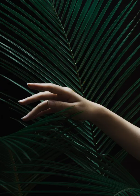Handing a leaf Poster (21x29.7 cm (A4))