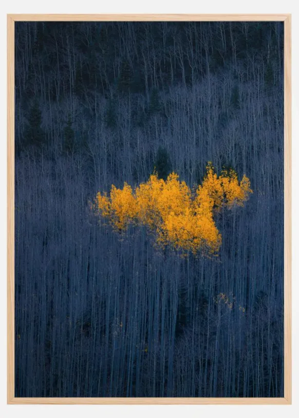 Heart of Aspens Poster (21x29.7 cm (A4))