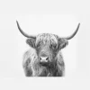 Highland Bull Canvastavla (30x40 cm)