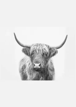 Highland Bull Canvastavla (30x40 cm)