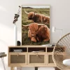Highland Cattle Poster (21x29.7 cm (A4))