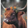 Highland Cow With Flowers Canvastavla (30x40 cm)