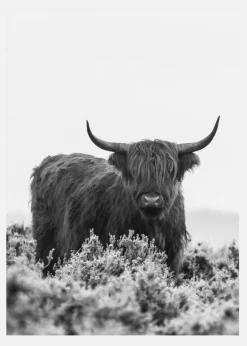 Highlander Bw Canvastavla (30x40 cm)