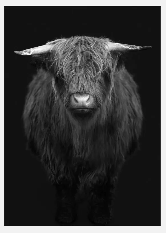 Highland I Canvastavla (30x40 cm)