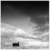 Hope In The Wilderness Canvastavla (30x30 cm)