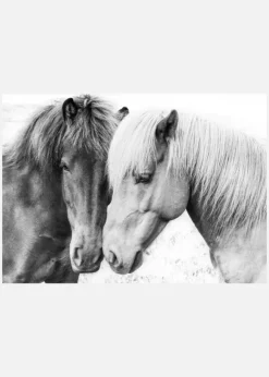 Horse Love Canvastavla (30x40 cm)