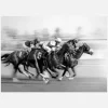 Horse Racing Canvastavla (30x40 cm)