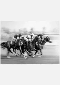 Horse Racing Canvastavla (30x40 cm)