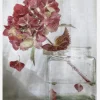 Hydrangea Canvastavla (30x40 cm)