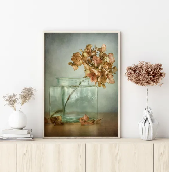 Hydrangea Poster (21x29.7 cm (A4))