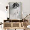 Hydrangea Poster (21x29.7 cm (A4))