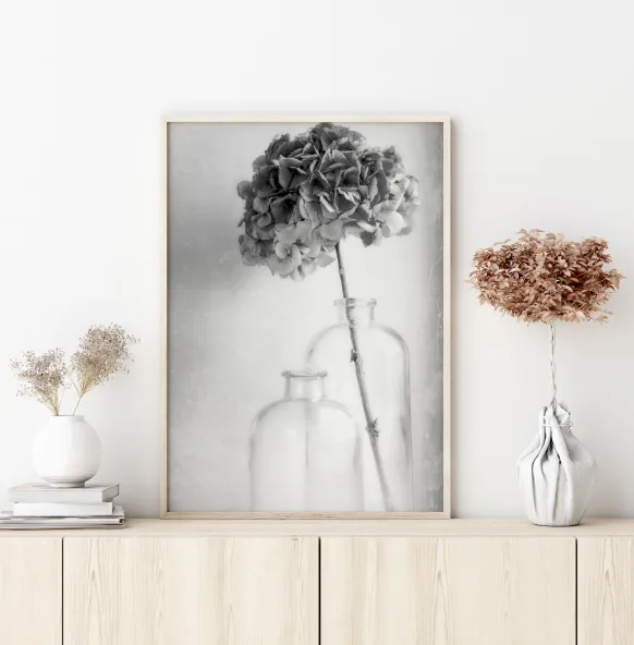 Hydrangea Poster (21x29.7 cm (A4))
