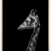 I'm not happy Poster (21x29.7 cm (A4))