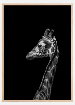 I'm not happy Poster (21x29.7 cm (A4))