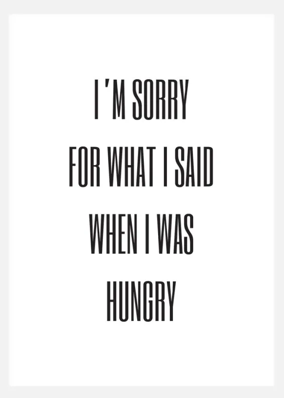 I'm Sorry For What I Said When Was Hungry Canvastavla (30x40 cm)