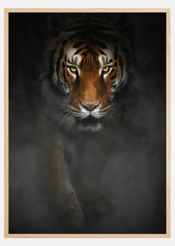 Intense Tiger Poster (21x29.7 cm (A4))