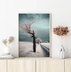 Irenka Poster (21x29.7 cm (A4))