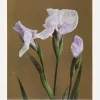 Iris Kabmpferi No2 Canvastavla (30x40 cm)