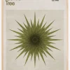 Joshua Tree Poster (21x29.7 cm (A4))