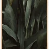 Jungle Poster (21x29.7 cm (A4))
