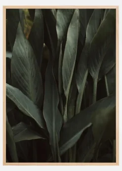 Jungle Poster (21x29.7 cm (A4))