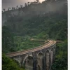 Jungle Train Rails Canvastavla (30x40 cm)